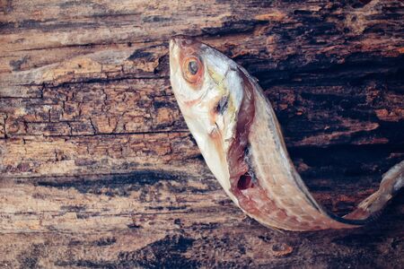 Fish boneの写真素材