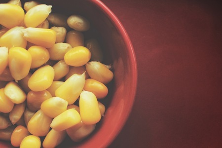 Corn seedsの写真素材