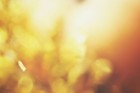 Gold bokeh backgroundの写真素材