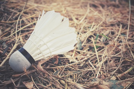 Shuttlecock on dried grassの写真素材