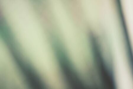 Gray backgroundの写真素材