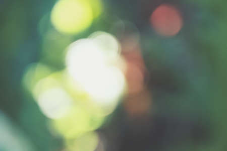 Vintage green bokehの写真素材