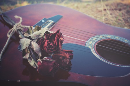 Guitar with dried roseの写真素材