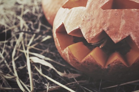 Halloween pumpkinの写真素材
