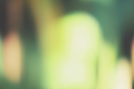 Green backgroundの写真素材