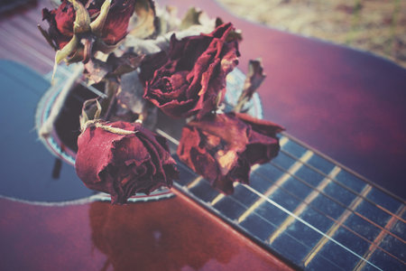 Guitar with dried rose