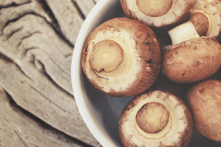 Champignon mushroomsの写真素材