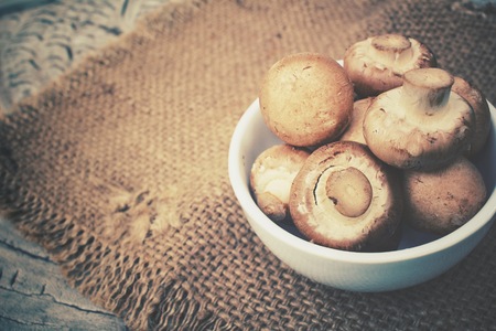 Champignon mushroomsの写真素材