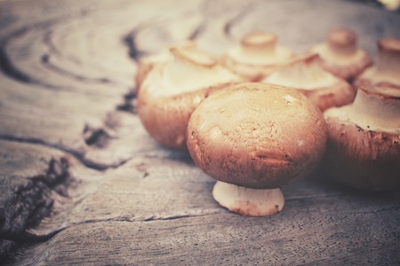 Champignon mushroomsの写真素材