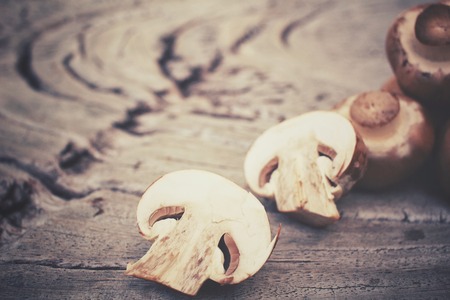 Champignon mushroomsの写真素材