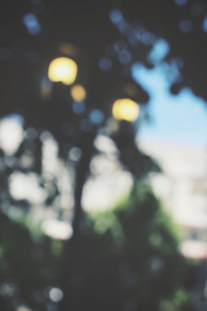 Blurred of tree