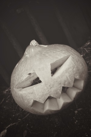 Halloween pumpkinの写真素材