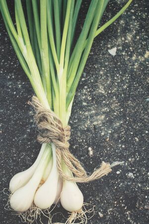 Green onionの写真素材