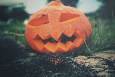 Halloween pumpkinの写真素材