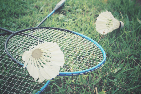 Shuttlecocks with badminton racket on green grassの写真素材