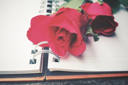 Blank notepad with red roseの写真素材