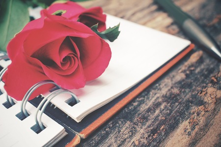 Blank notepad with red rose and penの写真素材