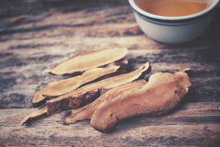 Ganoderma lucidum tea - Ling zhi mushroom.の写真素材