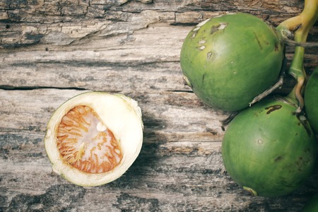 Betel palmの写真素材