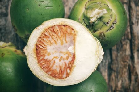 Betel palmの写真素材