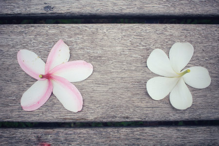 White frangipani flowers on old wood