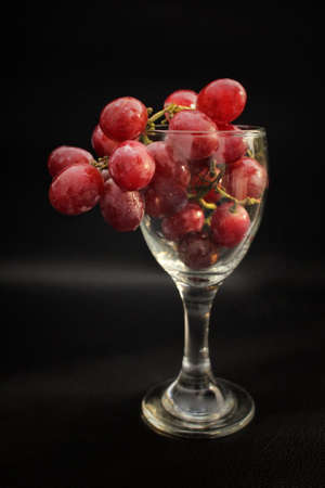 Fresh grapes on wine glassの写真素材