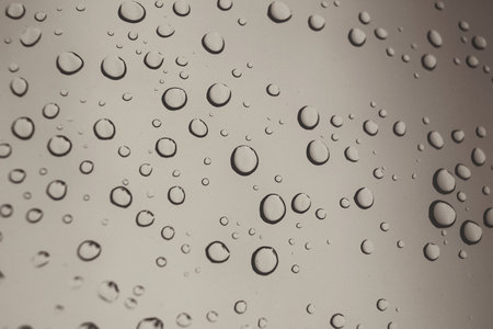 Water dropの写真素材