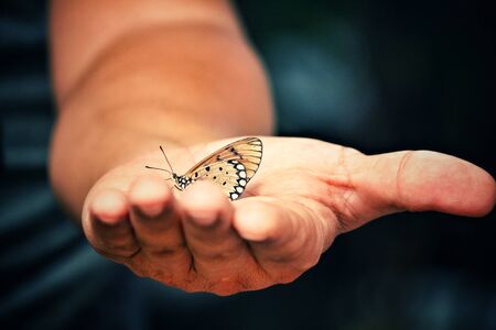 Butterfly on handの写真素材