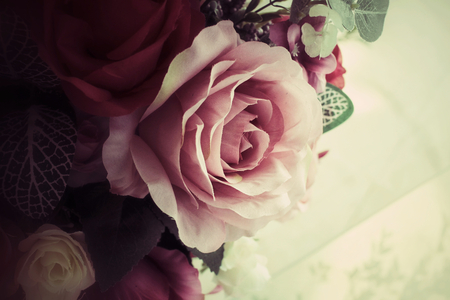 Vintage rosesの写真素材