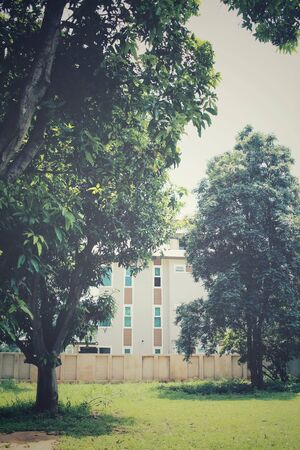 Tree with homeの写真素材