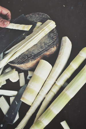 Bamboo shootの写真素材