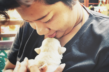 Labrador puppy sleeping with handsの写真素材