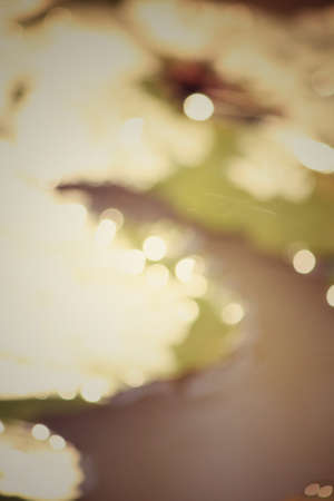 Vintage bokehの写真素材