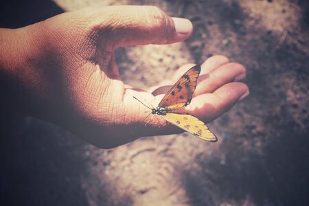 Butterfly on handの写真素材
