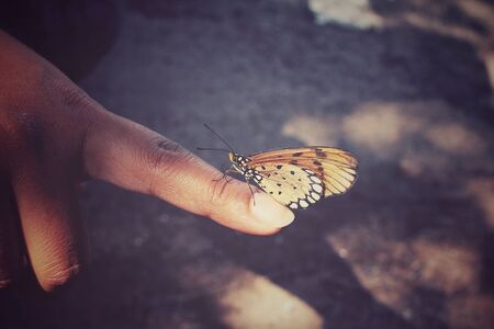 Butterfly on handの写真素材