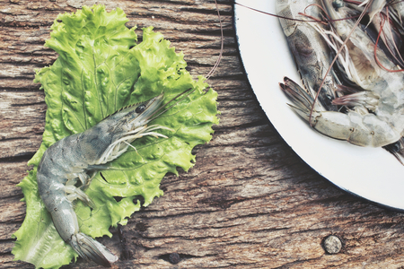 Fresh shrimpの写真素材