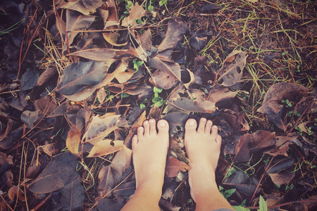 Feet on dried leavesの写真素材