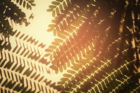 Leaves on tree