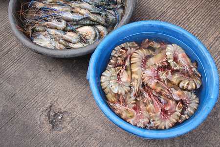 Fresh shrimp at asia marketの写真素材