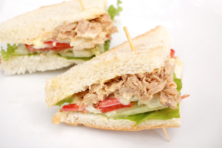 Tuna sandwichの写真素材