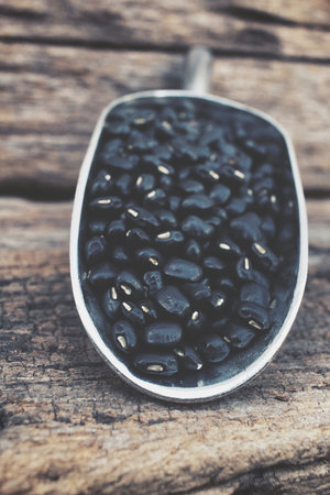 Black beansの写真素材