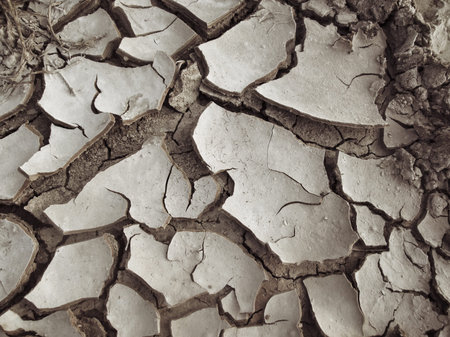 Cracked dry soil