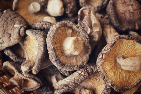 Dried shiitake mushroom
