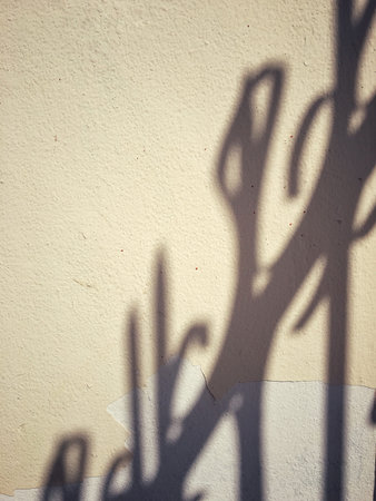 Shadow of fence
