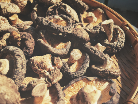 Dried shiitake mushroomの写真素材