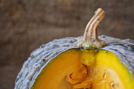 Fresh pumpkinsの写真素材