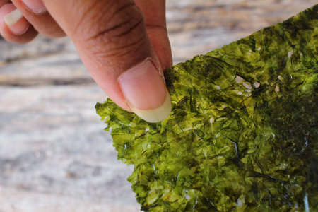 Korean seaweedの写真素材