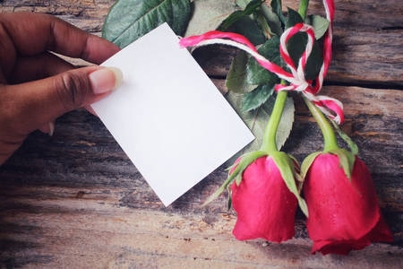 Two red roses with blank cardの写真素材