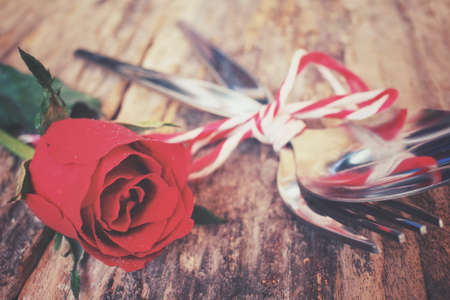 Red roses with spoon and forkの写真素材