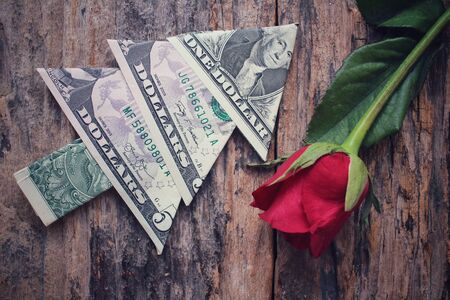 Red roses with dollarの写真素材